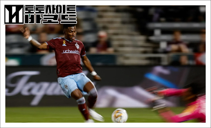 온라인 카지노사이트